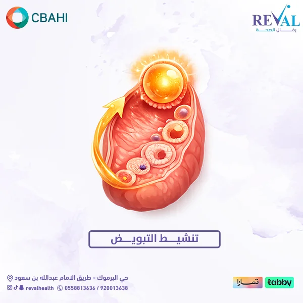  تنشيط التبويض